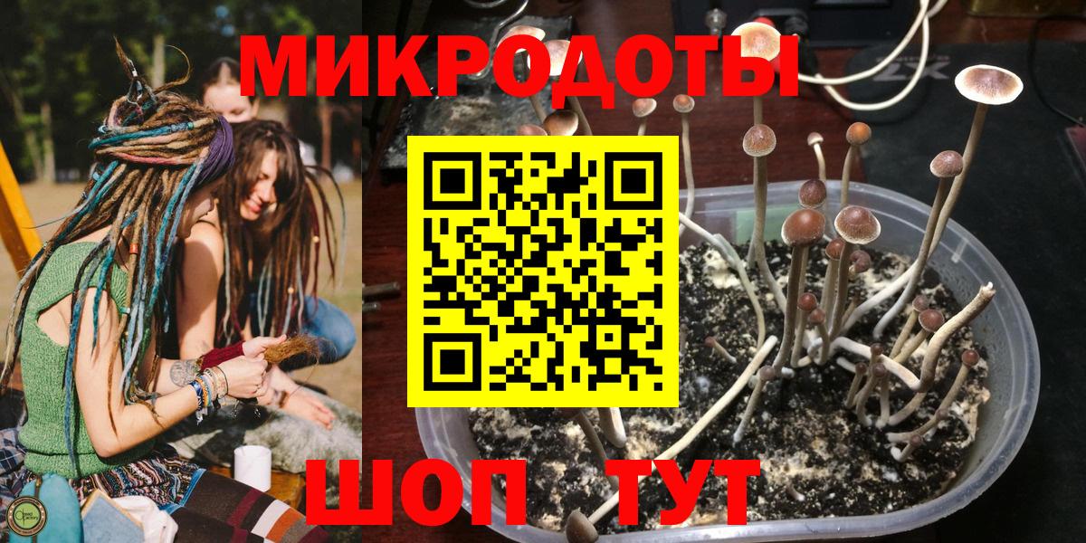 Галлюциногенные грибы MAGIC MUSHROOMS Горячий Ключ