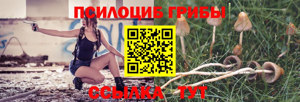 Псилоцибиновые грибы MAGIC MUSHROOMS  Вход с VPN  Псилоцибиновые грибы мухоморы  Горячий Ключ 